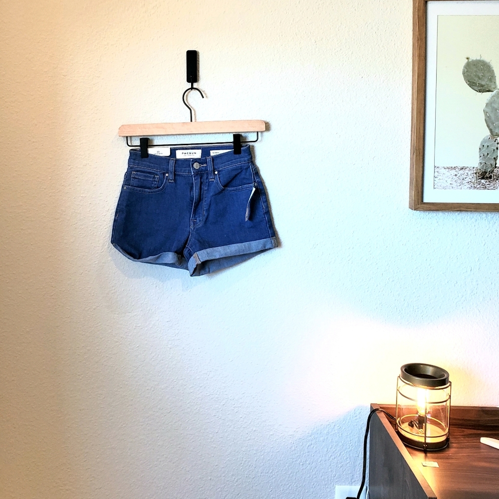 Pacsun "The Shortie" Shorts